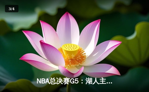 NBA总决赛G5：湖人主场逆袭，詹姆斯三双带领球队重返系列赛悬念 - 3